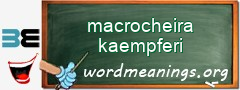 WordMeaning blackboard for macrocheira kaempferi